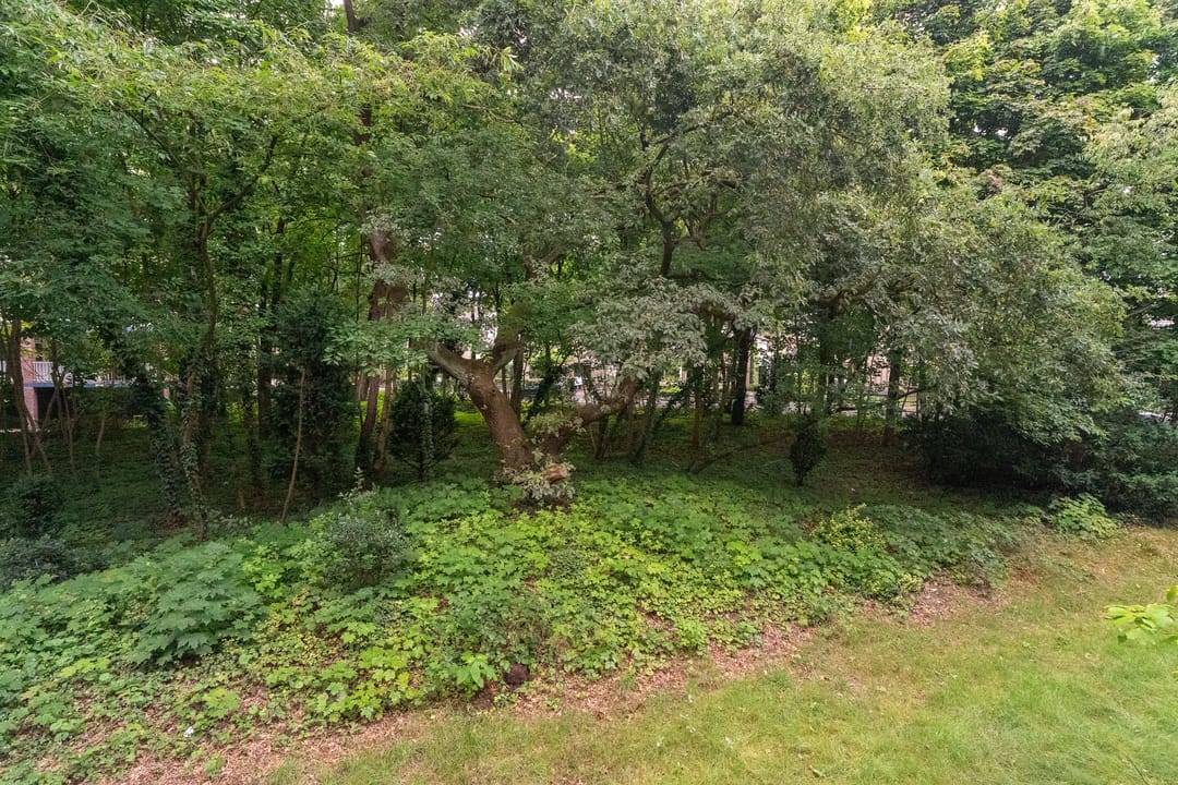 Photo 23 of Anna van Burenlaan 22