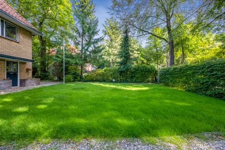 Albert Cuyplaan 11 tertiary image