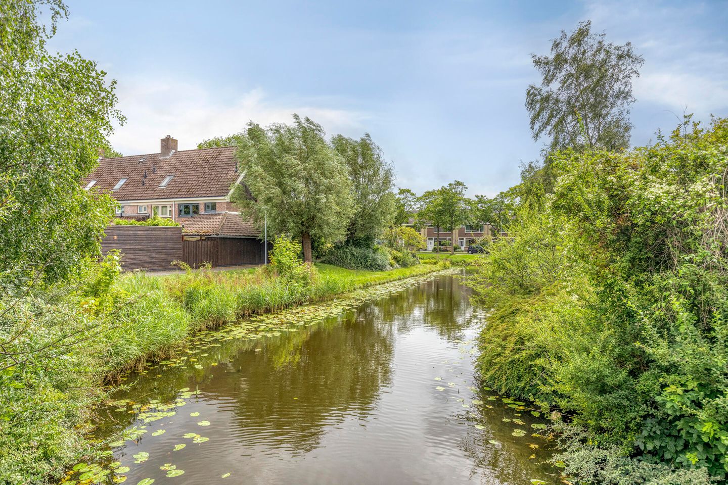 Foto 40 van Rijnstraat 19