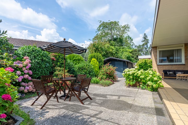 Foto 2 van Schaapsheul 3