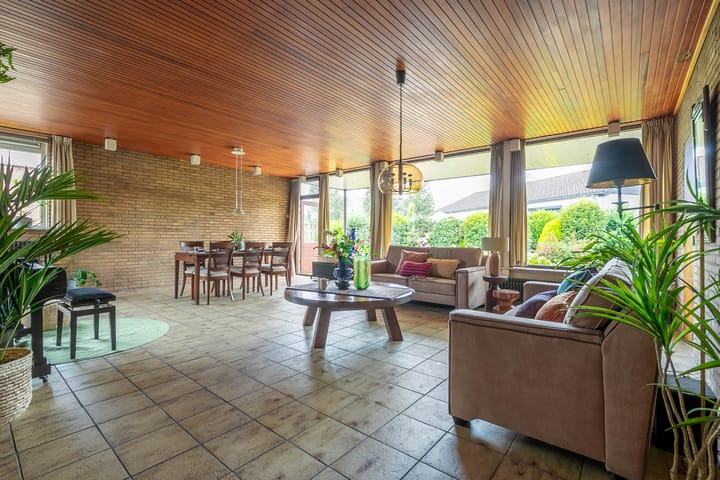 Foto 4 van Schaapsheul 3