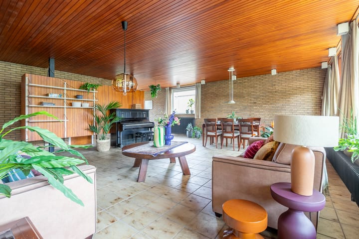 Foto 6 van Schaapsheul 3