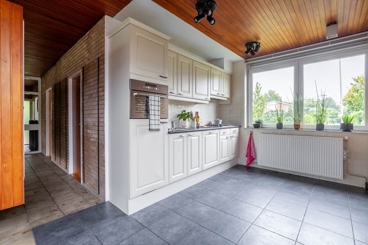 Foto 10 van Schaapsheul 3