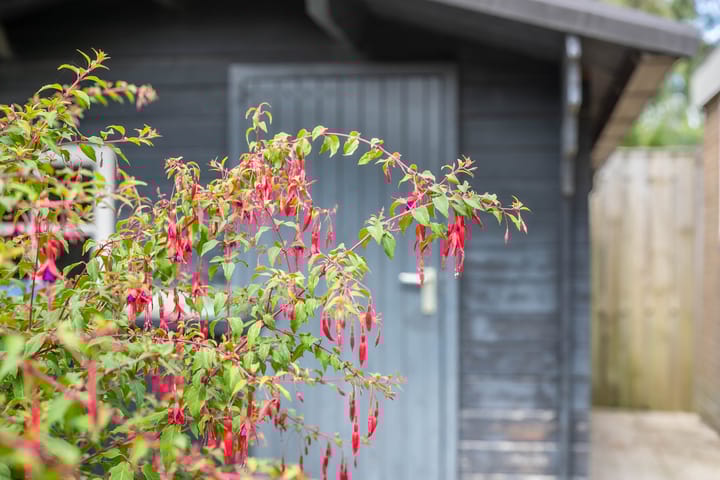 Foto 21 van Schaapsheul 3