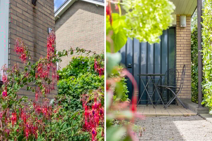 Foto 23 van Schaapsheul 3