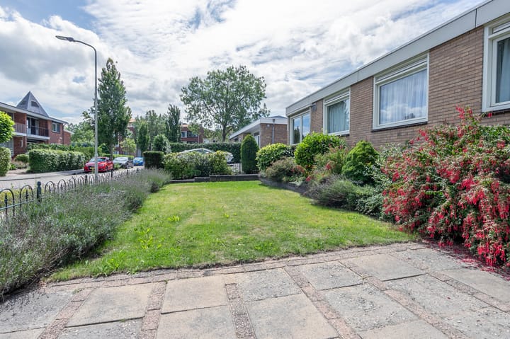 Foto 24 van Schaapsheul 3