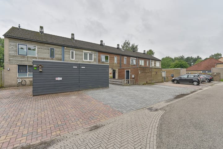 Foto 4 van Koolmees 22