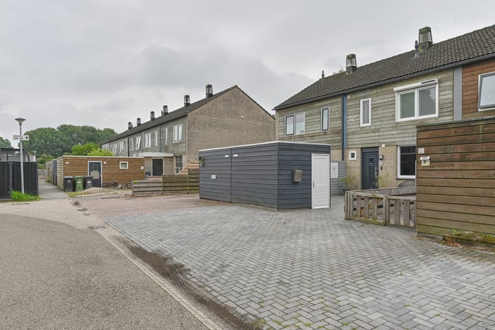 Foto 6 van Koolmees 22