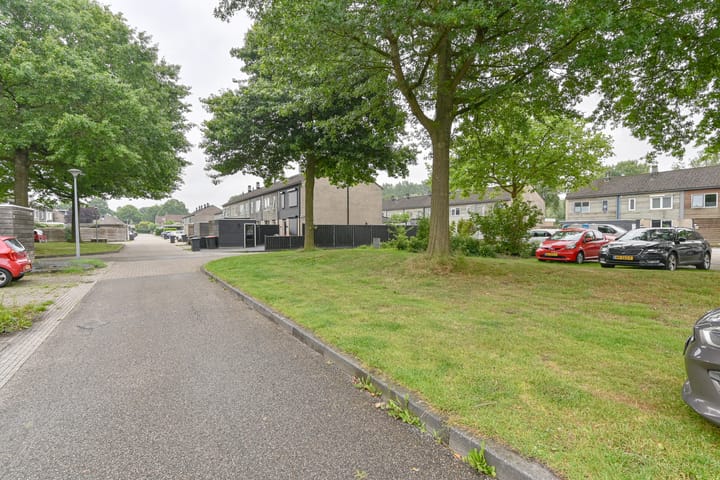 Foto 69 van Koolmees 22