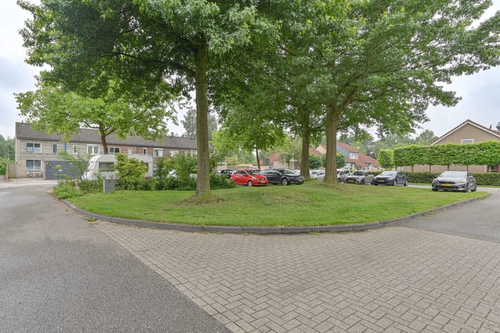 Foto 71 van Koolmees 22