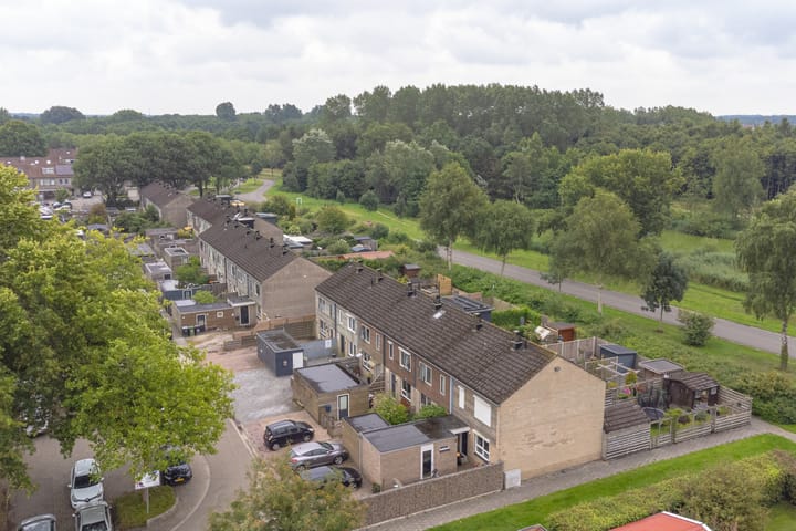 Foto 74 van Koolmees 22