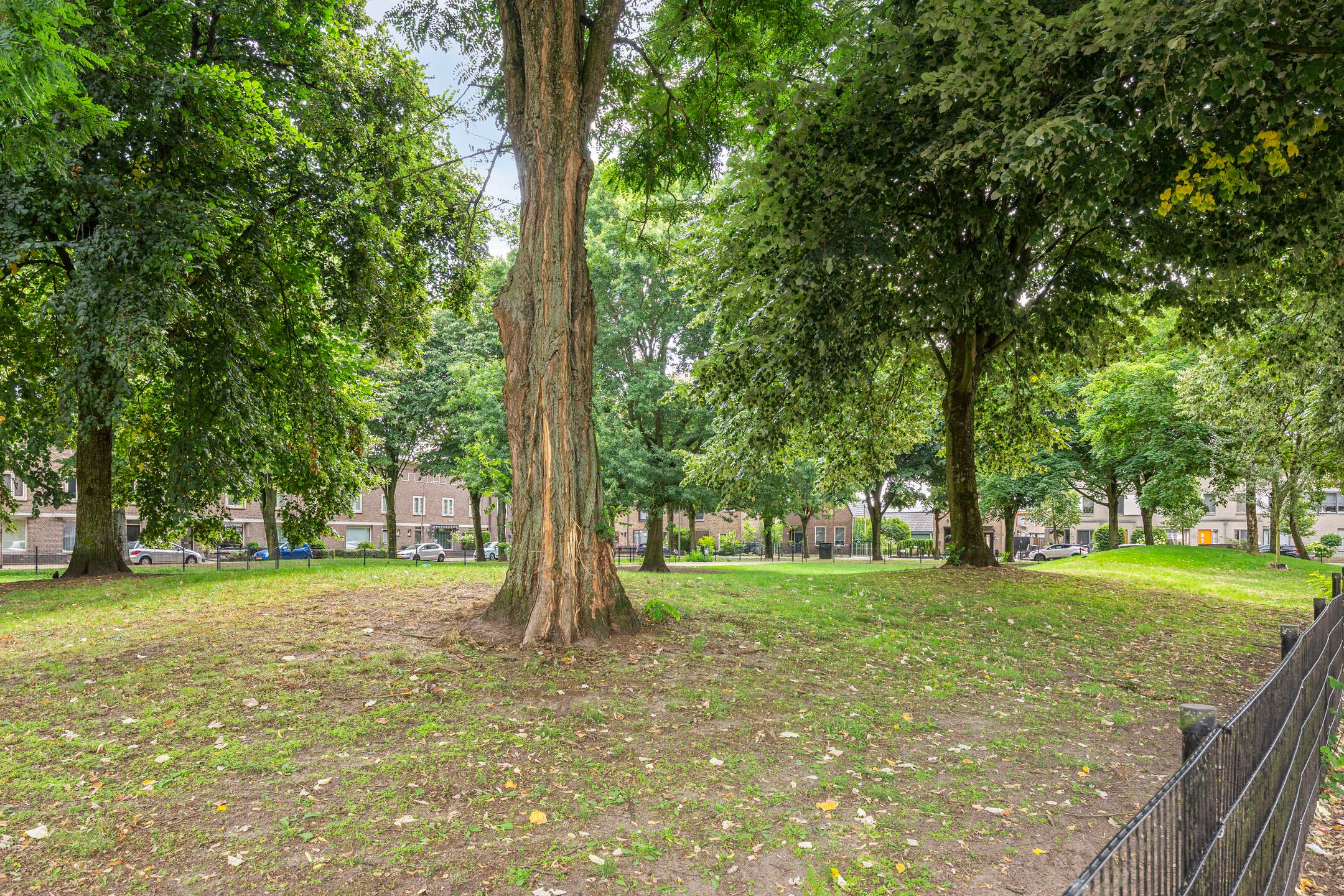 Photo 27 of Kardinaal de Jongstraat 22-A