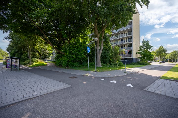 Foto 23 van Vliestroom 119