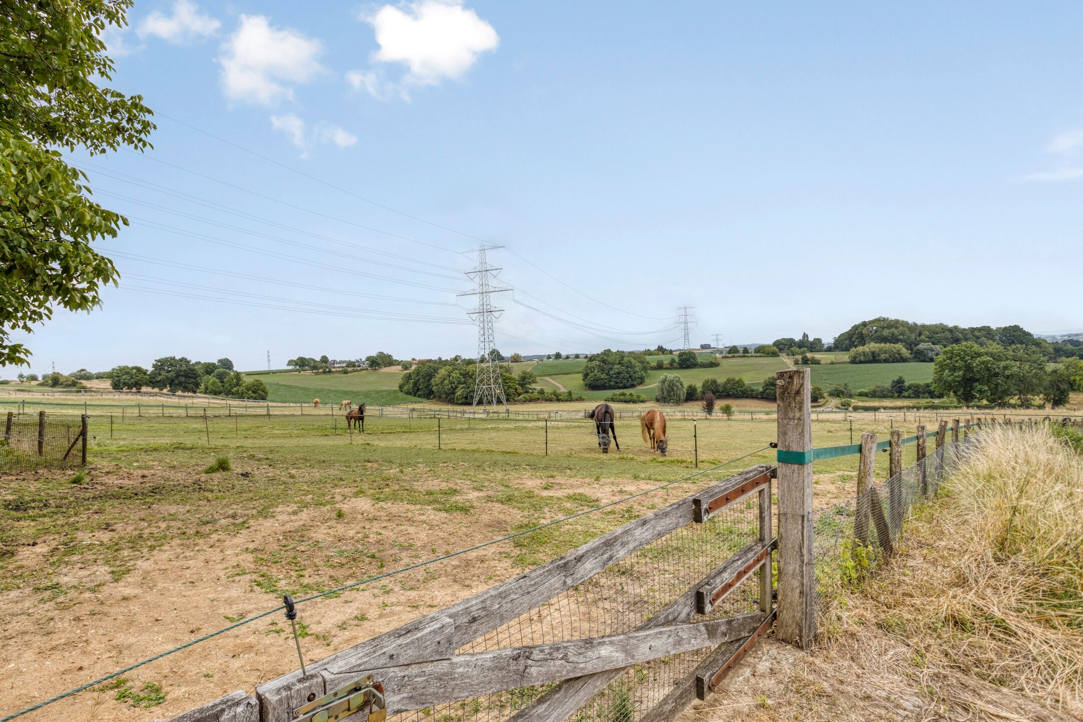 Foto 51 van Walem 35