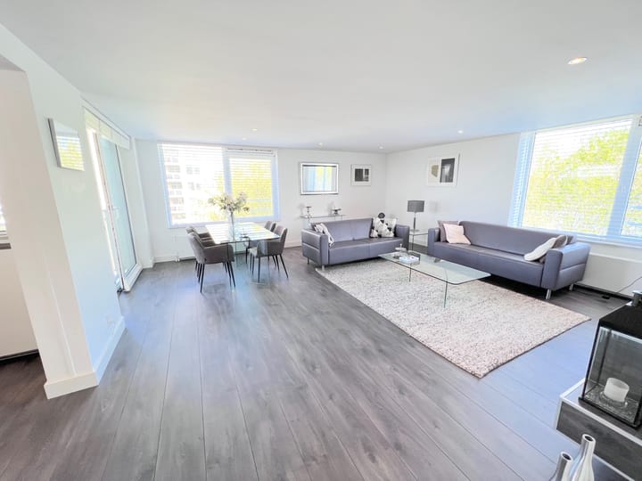 Foto 4 van Hermelijnvlinder 149