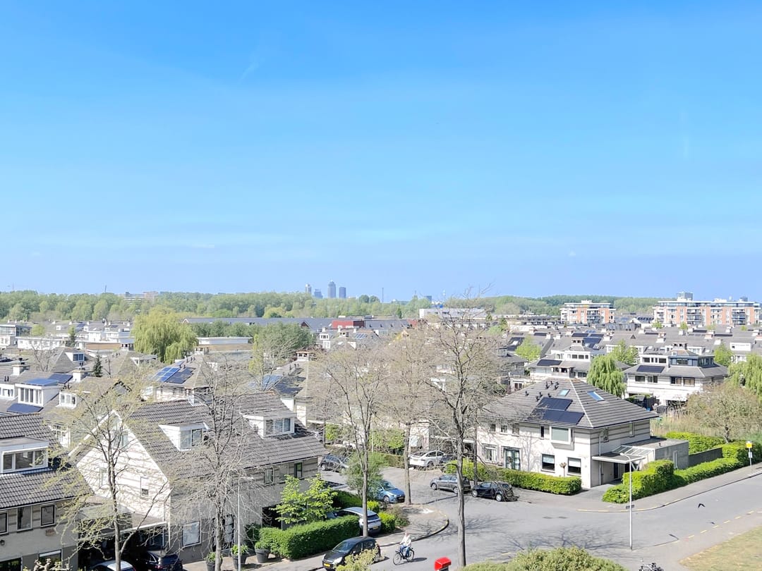 Photo 7 of Hermelijnvlinder 149