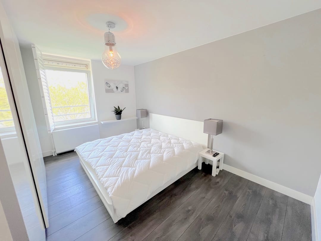 Photo 11 of Hermelijnvlinder 149