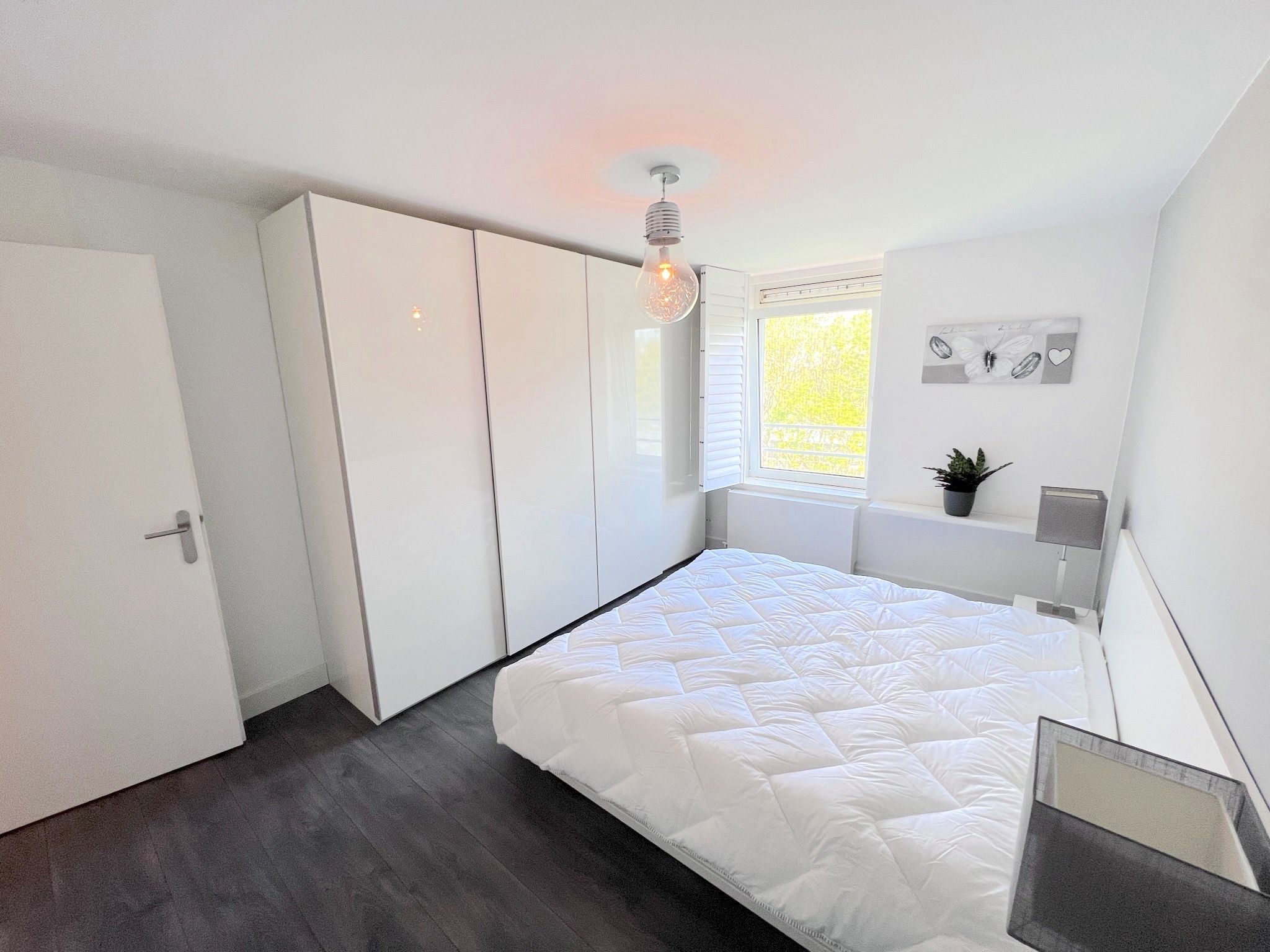 Photo 12 of Hermelijnvlinder 149