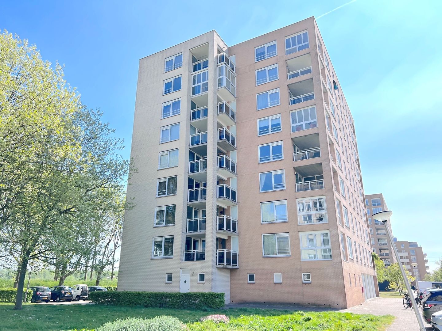 Photo 19 of Hermelijnvlinder 149