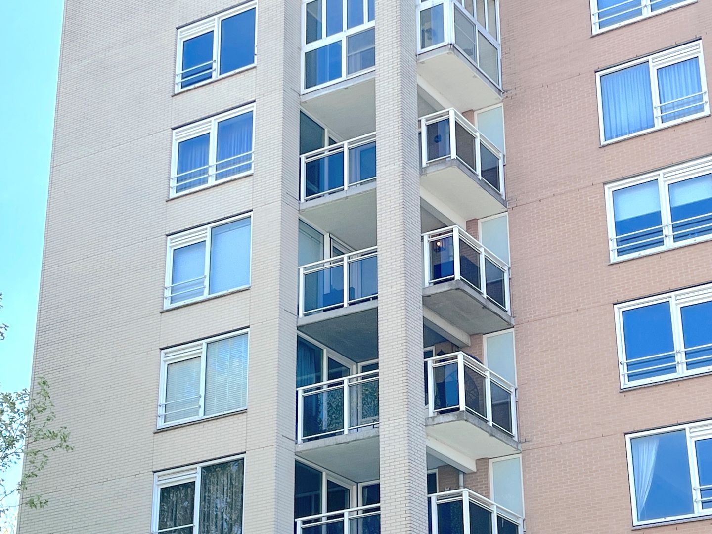 Photo 20 of Hermelijnvlinder 149