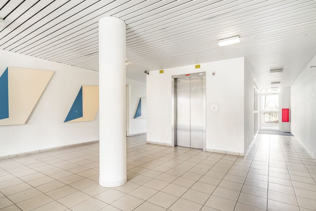 Photo 22 of Hermelijnvlinder 149