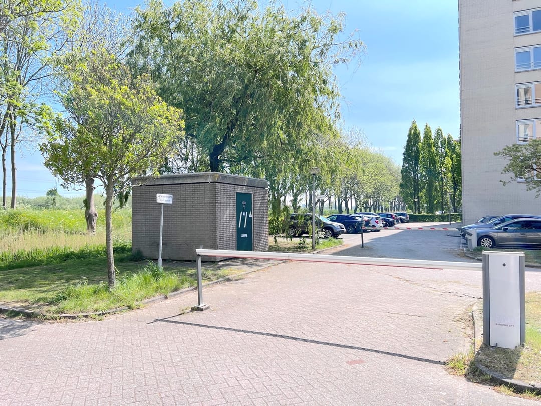 Photo 23 of Hermelijnvlinder 149