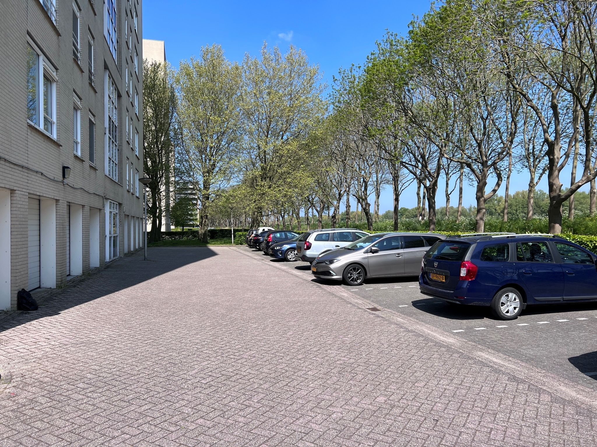 Photo 24 of Hermelijnvlinder 149