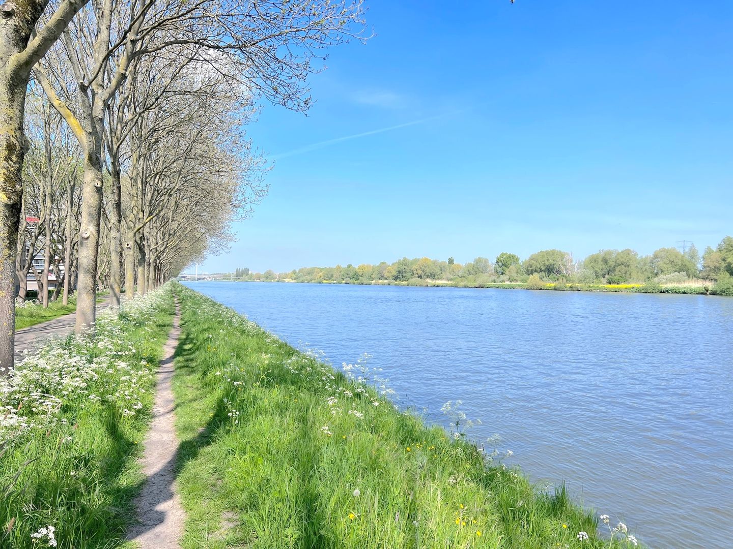 Photo 25 of Hermelijnvlinder 149