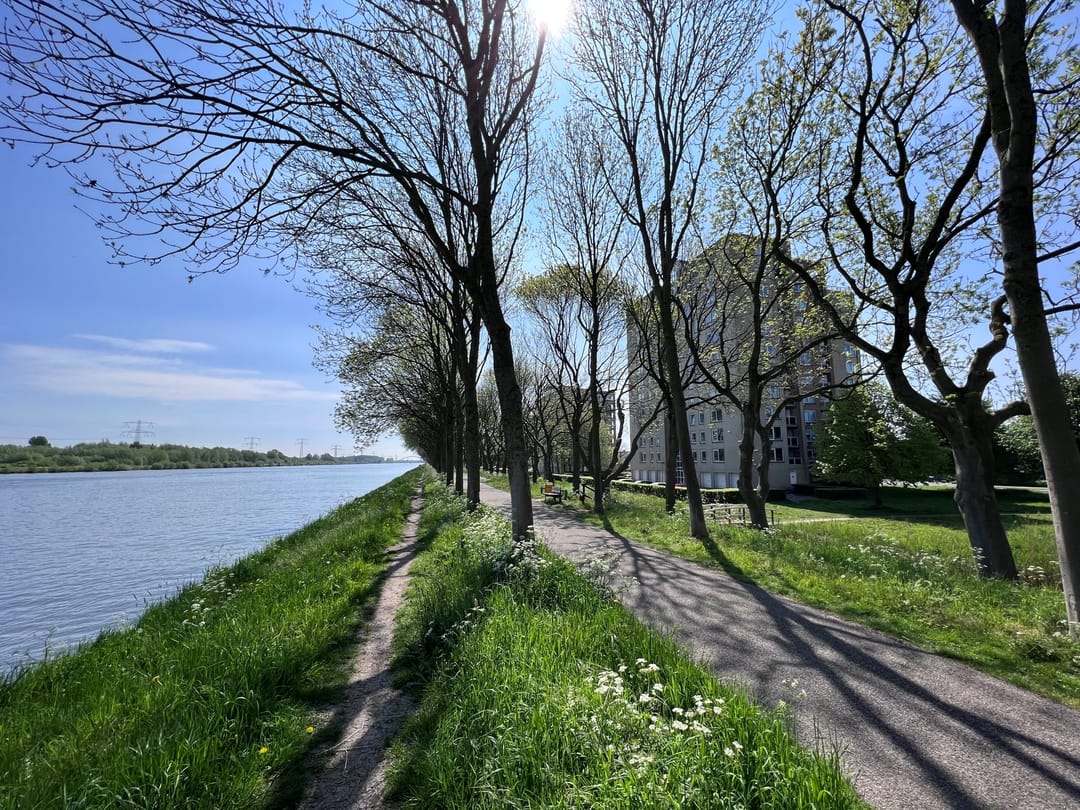 Photo 26 of Hermelijnvlinder 149