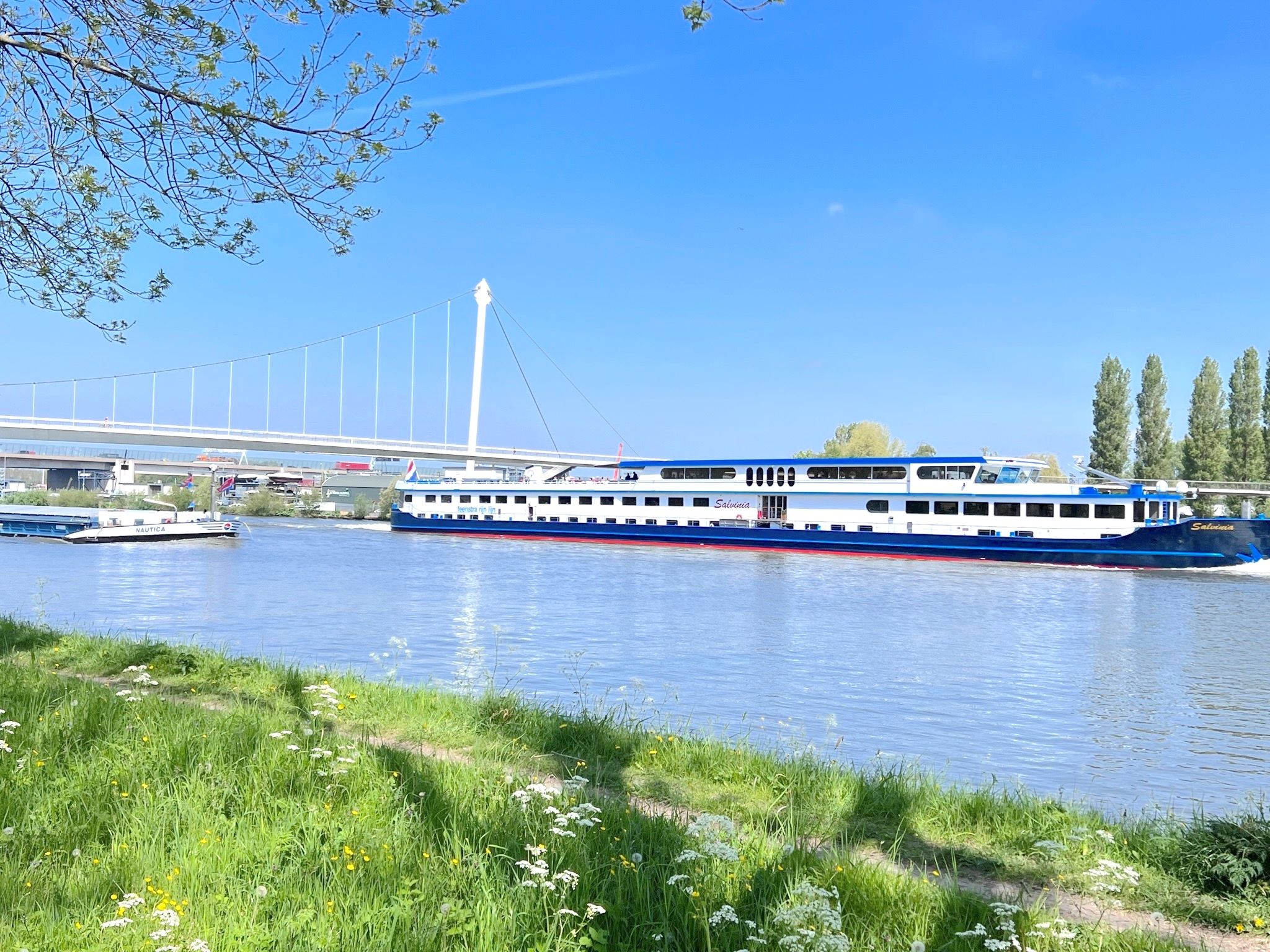 Photo 27 of Hermelijnvlinder 149