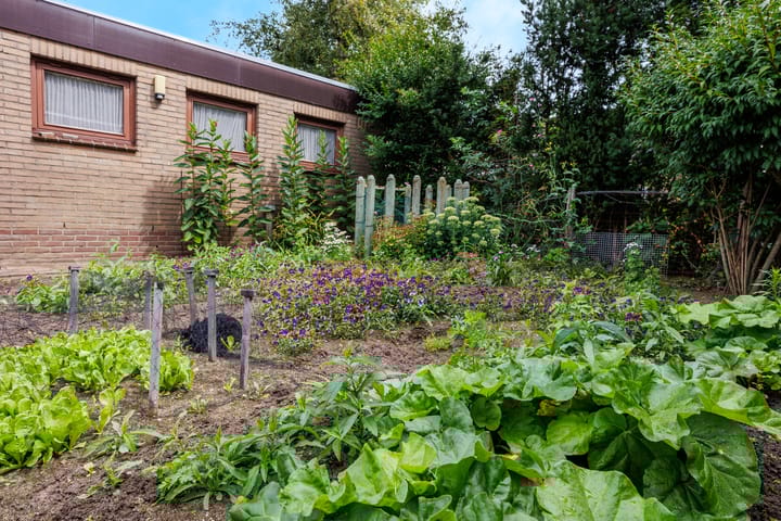 Foto 46 van Heikampseweg 24