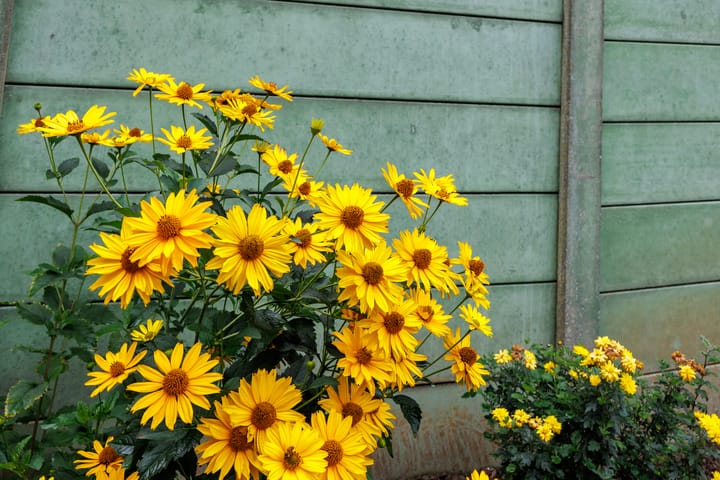 Foto 47 van Heikampseweg 24