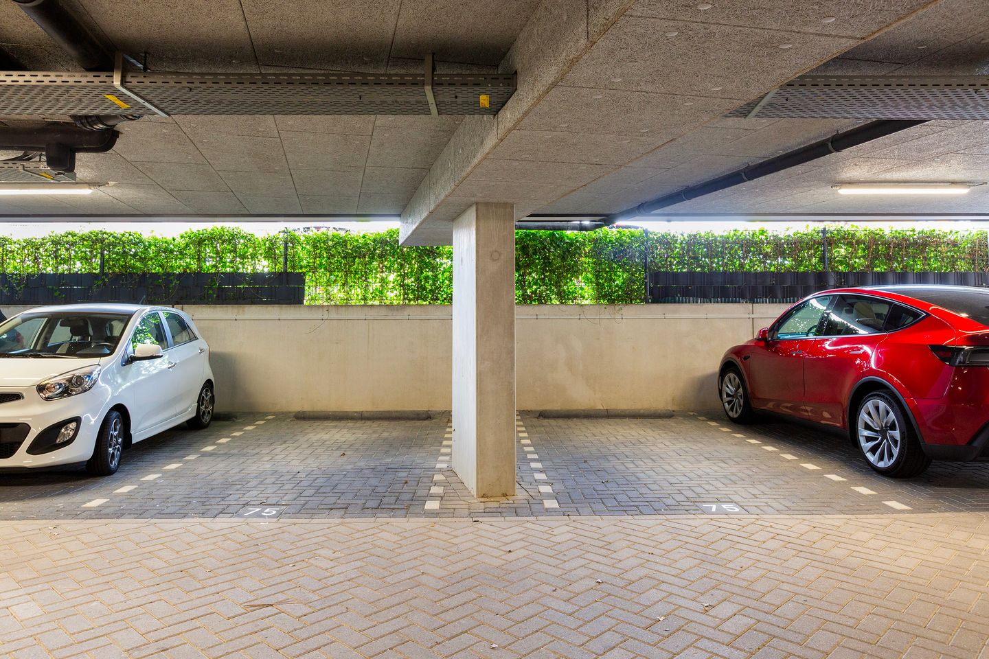 Foto 5 van Doggevaart 162