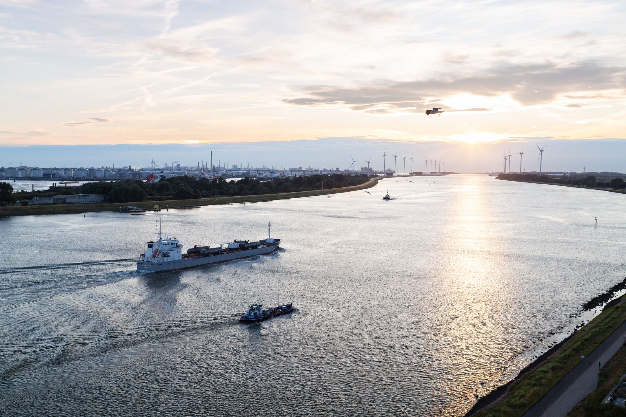 Foto 45 van Doggevaart 162