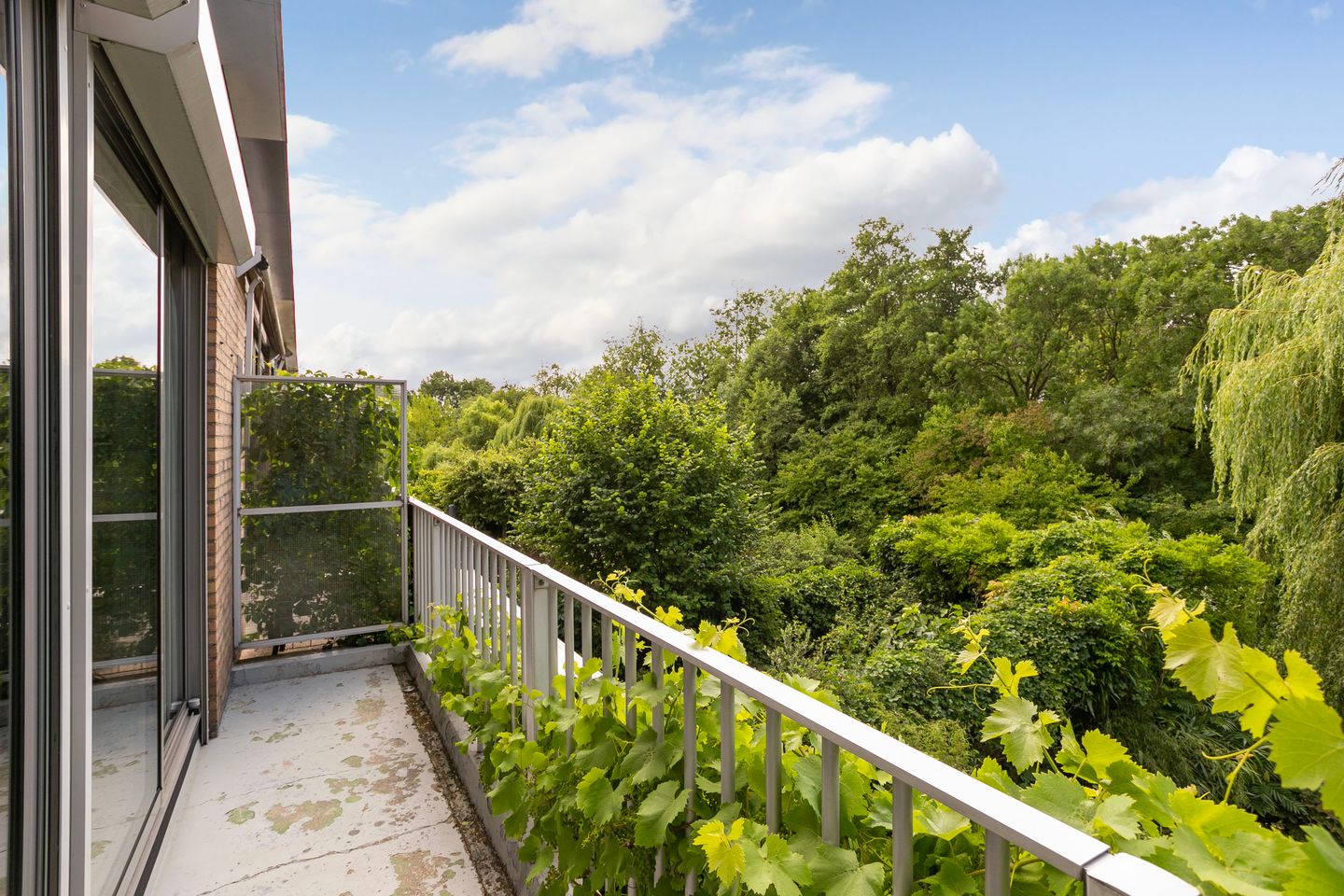 Photo 25 of Noormannenstraat 6