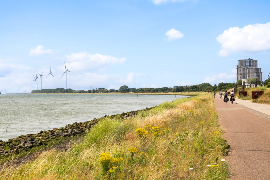 Foto 83 van Doggevaart 162