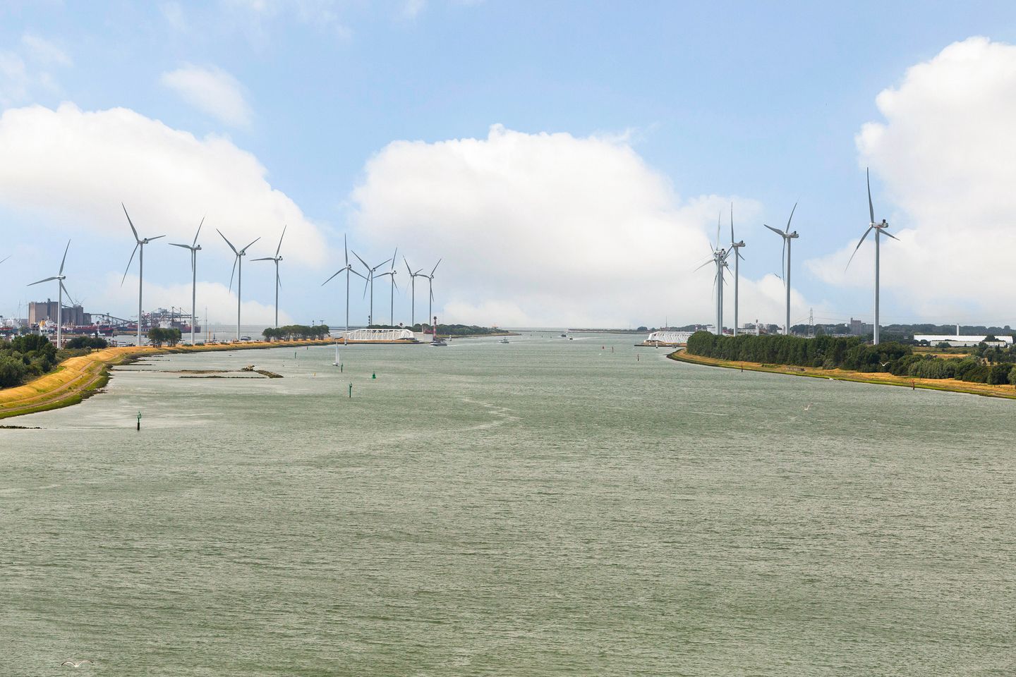 Foto 85 van Doggevaart 162