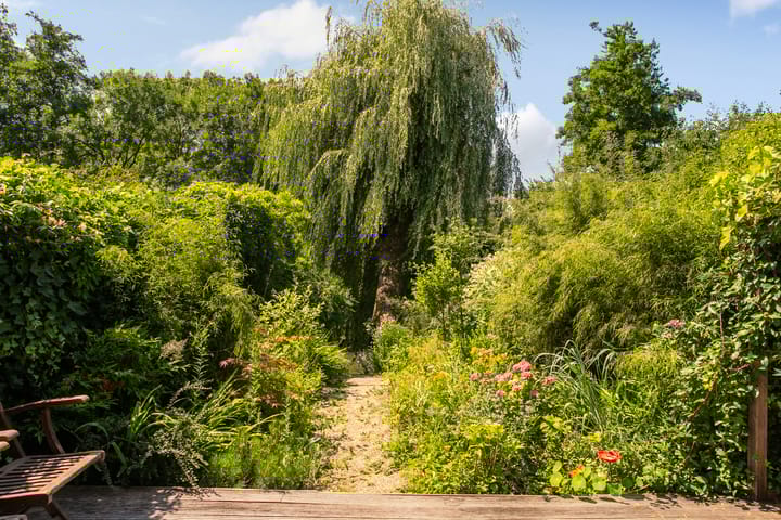 Foto 36 van Noormannenstraat 6