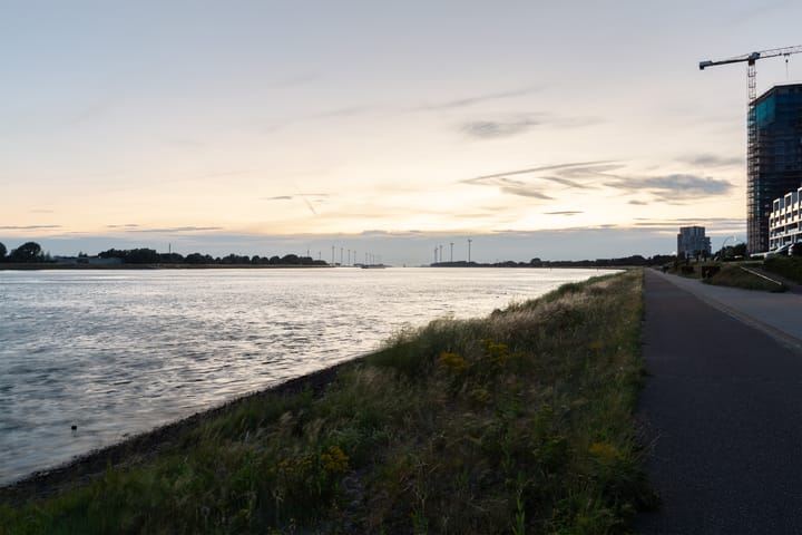 Foto 90 van Doggevaart 162