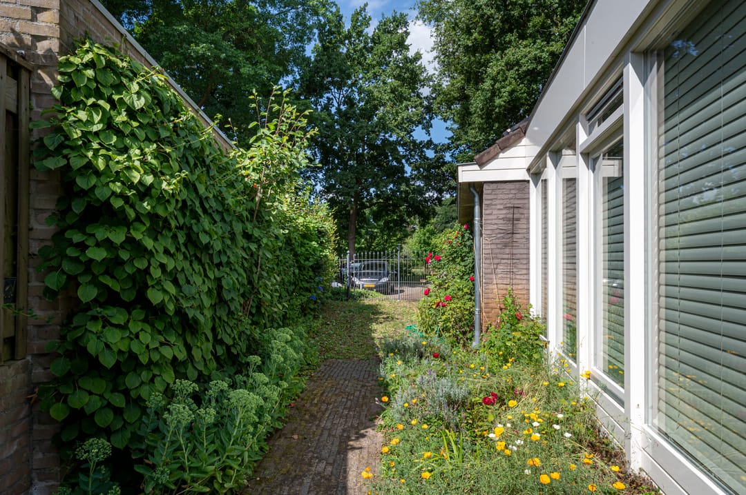 Foto 47 van Kinderbos 28-A