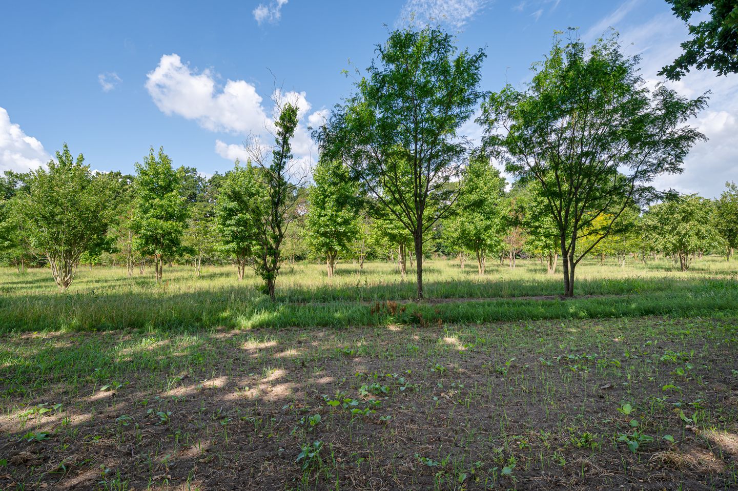 Foto 49 van Kinderbos 28-A