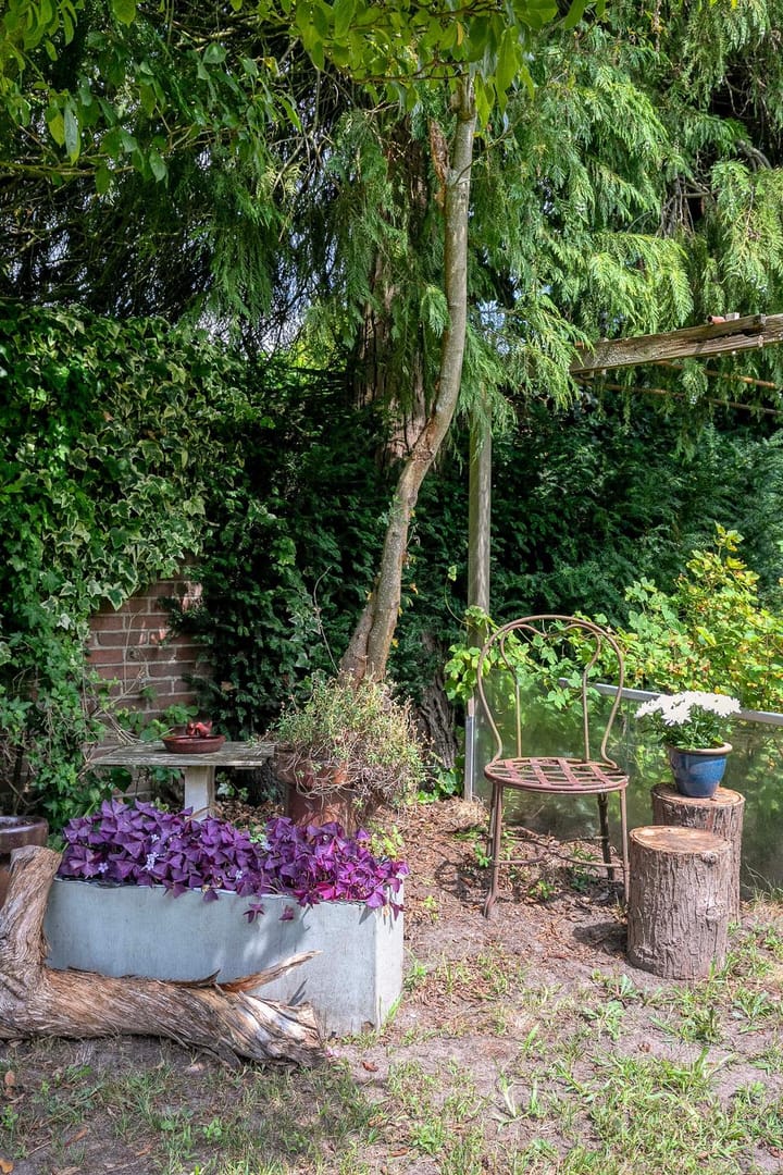 Foto 50 van Nieuwstraat 54