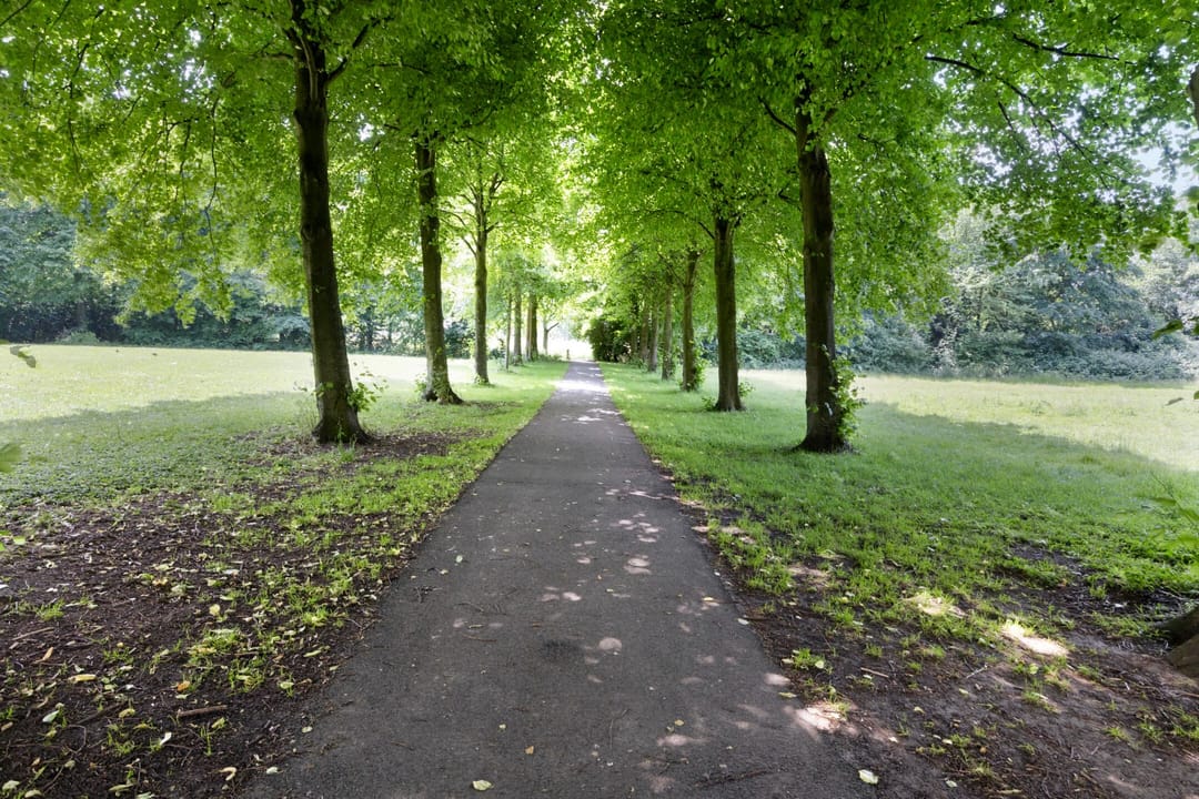 Foto 41 van Nystadstraat 80