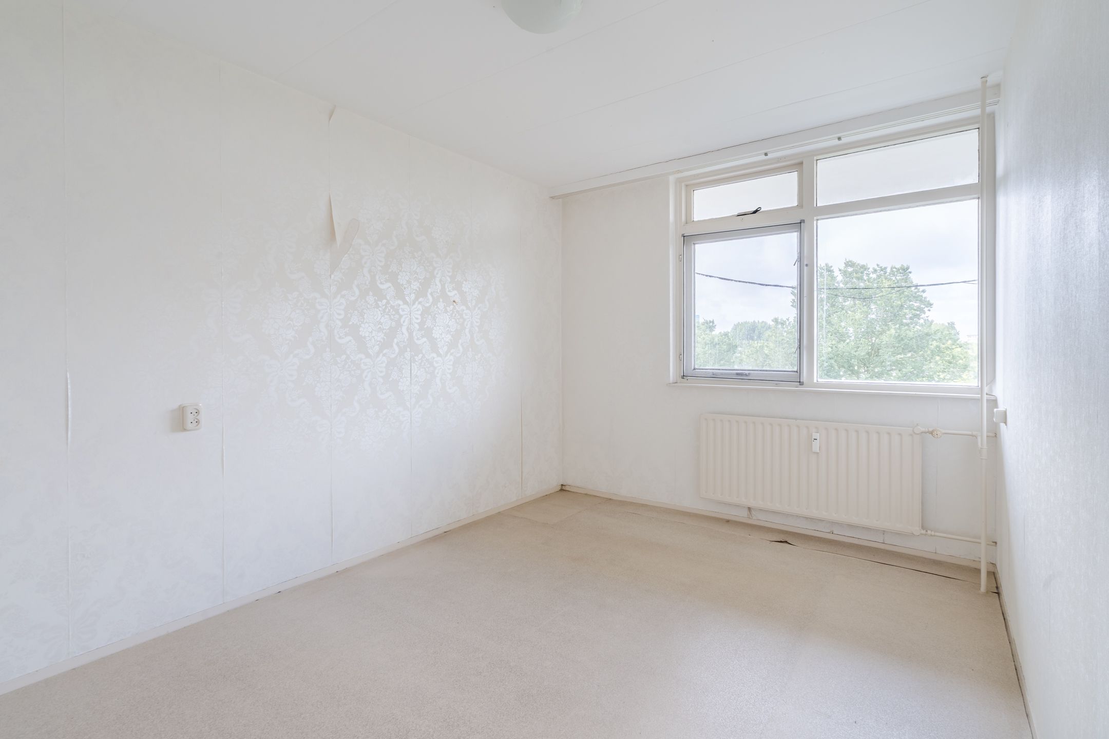 Foto 15 van Zwaluwstraat 234