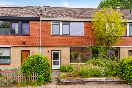 undefined main image