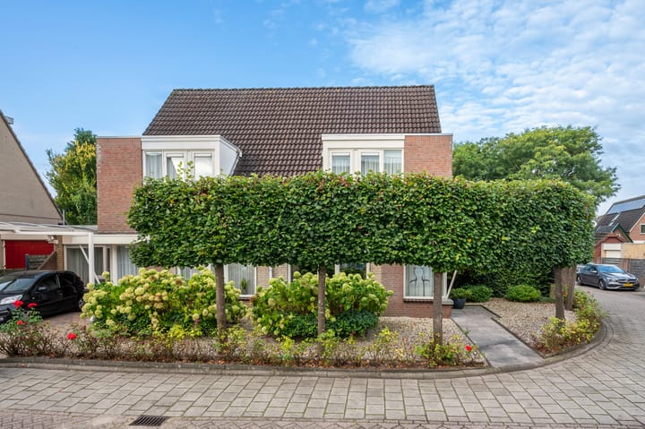 Foto 2 van Fitislaan 35