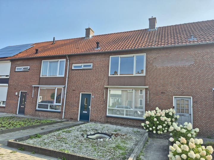 undefined main image