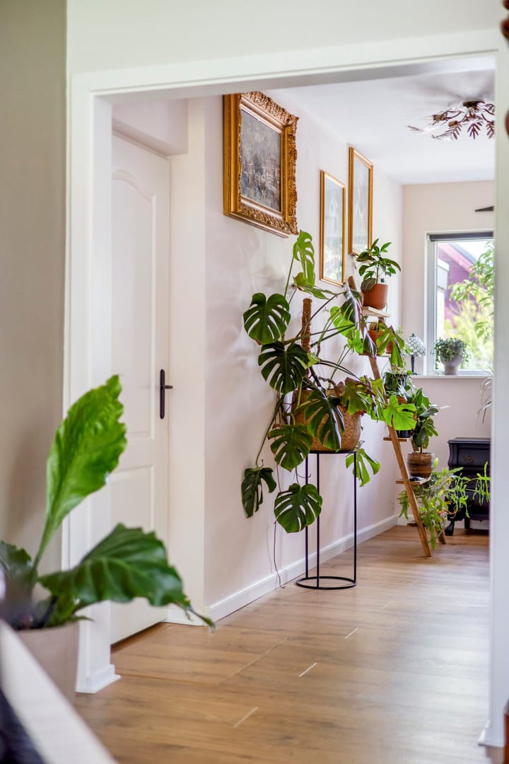 Foto 19 van J.A. de Boerstraat 20