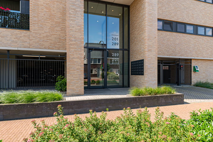 Photo 4 of Rigastraat 269