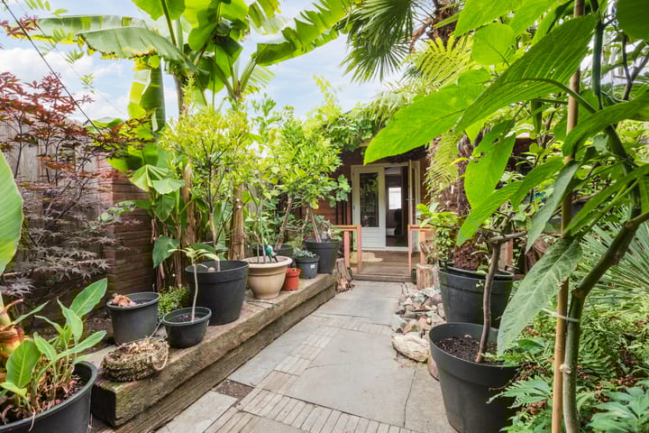 Foto 21 van Sleedoorn 25